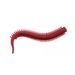 Sandworm Floating Root TPE Soft 7,5 cm 0,8 g Esca artificiale realistica per la pesca in mare_voghion.com