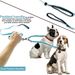 Pet Dual One Tow Two Double-Headed 2 Leashes Retractable Elastic Night Light Anti-Tangle Dog Leash Factory_voghion.com