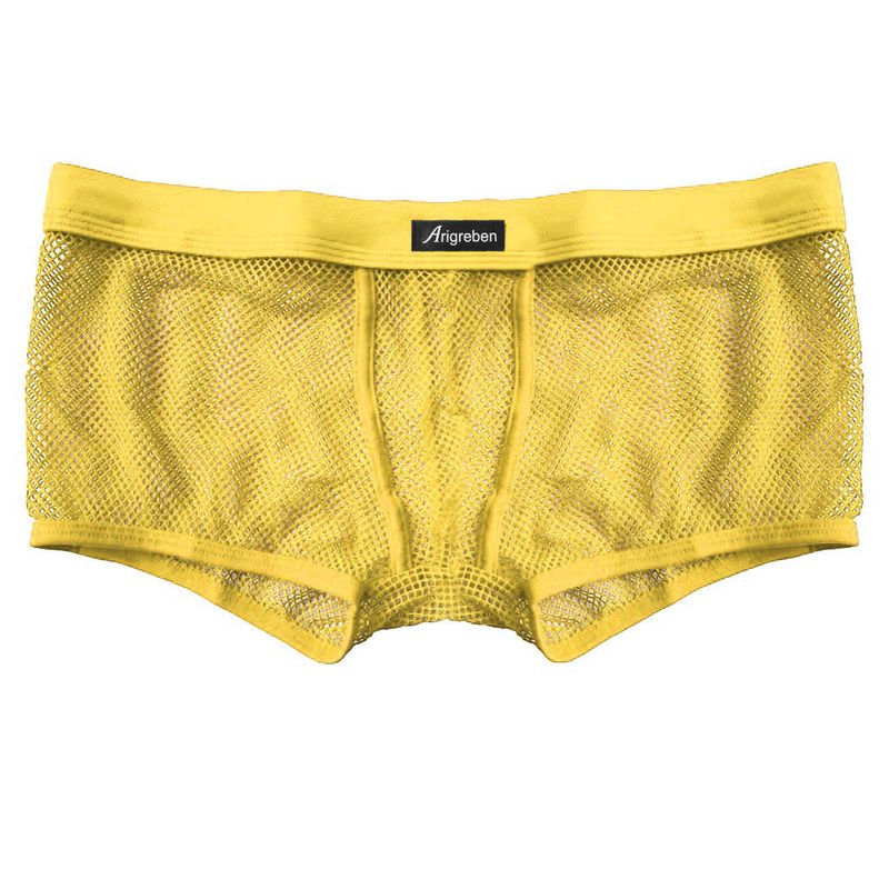 Men's A Line Shorts New Low Waist Mesh Fashion Breathable Sexy Boxer Briefs Classic Boxer Briefs Men_voghion.com