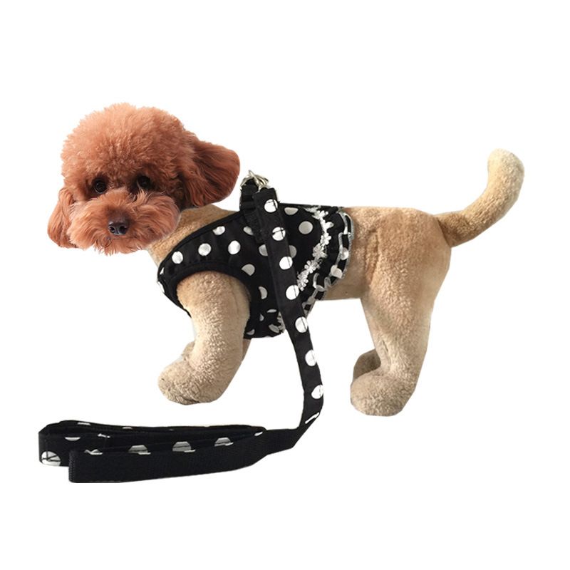 Petit gilet à pois pour animal de compagnie, harnais de poitrine, laisse pour chien_voghion.com