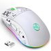 GPW wireless game RGB light-emitting TYPE-C charging mouse water transfer printing the third mock examination 2.4G dual_voghion.com