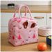 3-teiliges Set funktionaler, gemusterter Kühl-Lunchboxen aus isoliertem Canvas für Damen und Kinder – ideal für Picknicks._voghion.com