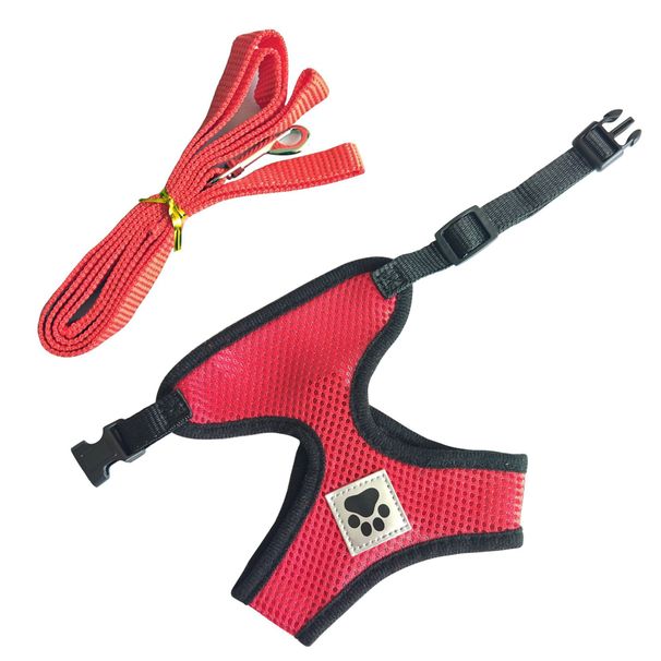 Harnais de poitrine réglable en maille respirante pour petits chiens avec laisse_voghion.com