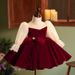 Girl's Wine Red Tulle Princess Dress - Elegant Party Gown For Special Occasions Fashion Trends Hot-selling_voghion.com