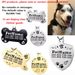 Collar para perro, accesorio de acero inoxidable, placa de identificación personalizada para cachorro, gato y perro, personalizado por PawParty Store_voghion.com