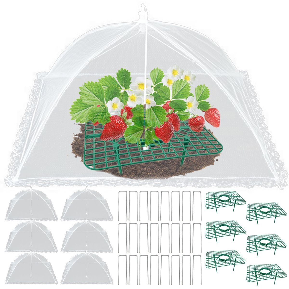 6 Sets Strawberry Supports With 24 Ground Nails Square Strawberry Growing Support Stakes Reusable Cloche Dome For Outdoor Garden Vegetable_voghion.com