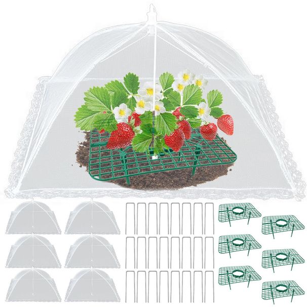 6 Sets Strawberry Supports With 24 Ground Nails Square Strawberry Growing Support Stakes Reusable Cloche Dome For Outdoor Garden Vegetable_voghion.com