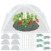 6 Sets Strawberry Supports With 24 Ground Nails Square Strawberry Growing Support Stakes Reusable Cloche Dome For Outdoor Garden Vegetable_voghion.com