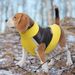 Winter Insulated Vest For Dogs CDDMPET By PawParty Store_voghion.com