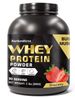 Cross-border Export Whey 5LBS Protein Powder Chocolate Strawberry Vanilla Matcha_voghion.com