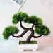Four-ball pine grass simulation plant potted grass ball bonsai small tree home decoration flower ornaments_voghion.com