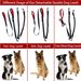 Pet Dual One Tow Two Double-Headed 2 Leashes Retractable Elastic Night Light Anti-Tangle Dog Leash Factory_voghion.com