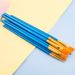 Oil Brush Set Cross-border Foreign Trade Nylon Brush 10 Pack Middle School Students Pearlescent Blue Rod Painting Test Brush_voghion.com