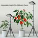 LED Plant Grow Light, Full Spectrum Standing LED Plant Growing Lamps With Timer And Adjustable Tripod Stand,Floor Lights Fit For Indoor Plants Growing_voghion.com