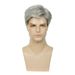 Men's Wigs Gray And White Side Parted Short Straight Hair Elastic Net Chemical Fiber Short Wig_voghion.com