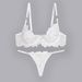 Women's Intimates Classic Embroidered Bra And Panties Two Sets Of Women's Underwear Set_voghion.com