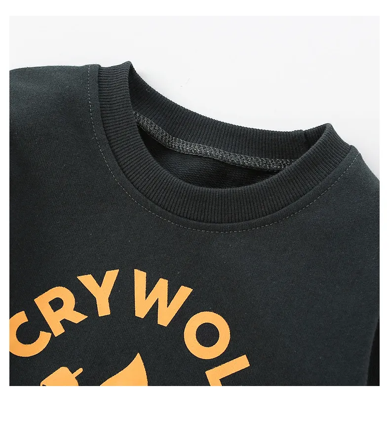 Sweat à capuche tricoté en laine pour garçon, manches longues, en coton, haut de dessin animé, vêtements d'automne pour enfants_voghion.com