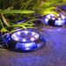 Solar Garden Lights Outdoor Waterproof LED Landscape Lighting For Patio Lawn Yard Decoration With Multi-Color Options_voghion.com