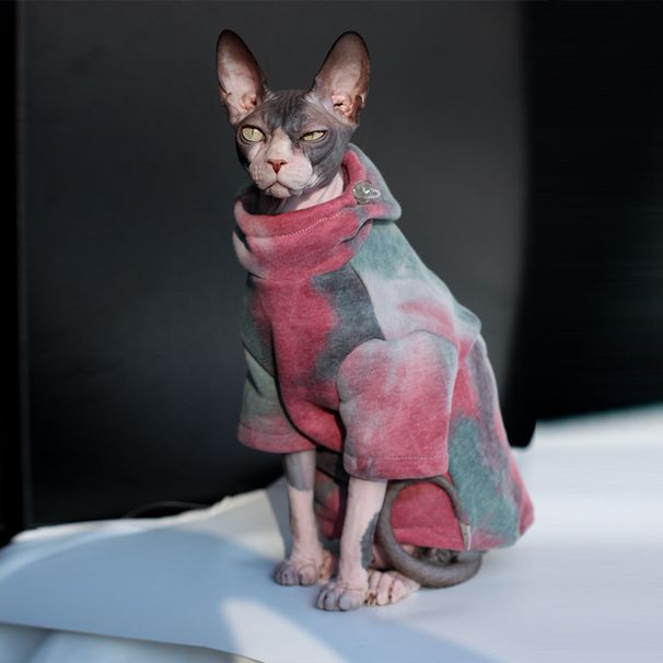 DUOMASUMI Sphynx Hairless Cat Clothes Devon Rex Clothing Autunno Inverno Giacca calda foderata in pile per gatti per cani di piccola taglia Felpa con cappuccio per gatti_voghion.com