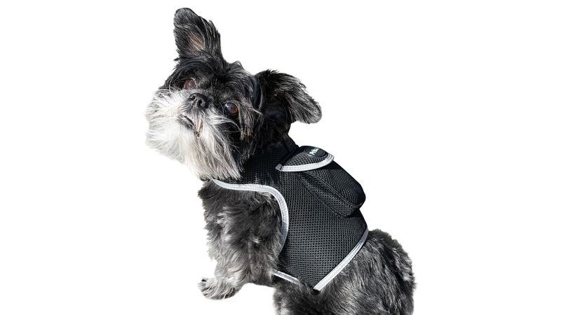 Dog Tracking Collar GPRS GSM GPS Realtime Pet Locator Portable Tracker Size:M_voghion.com