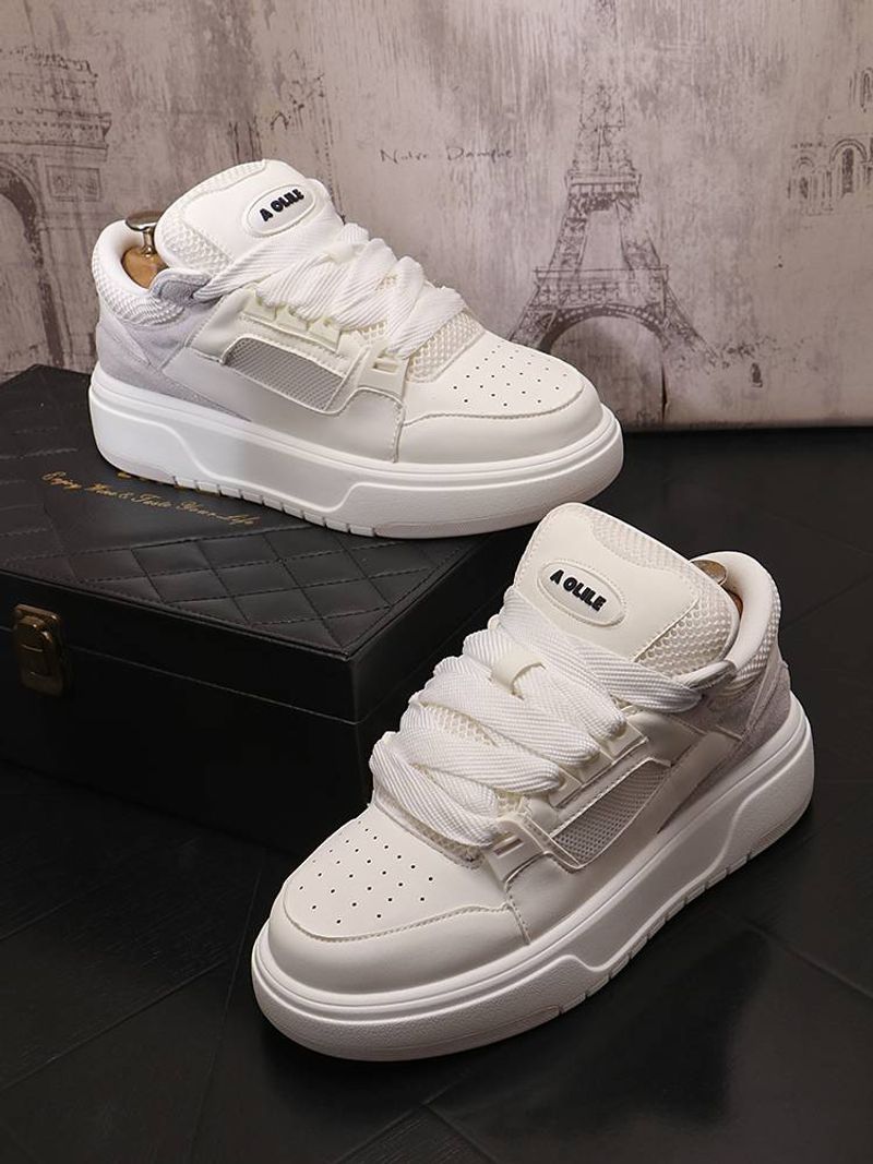 Small White New Breathable Mesh Cloth Thick Sole Increase Sports Casual Board Shoes_voghion.com