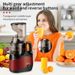 800W Slow Juicer - Multifunctional Household Extractor With Pulp Separation, EU Standard_voghion.com