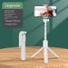 Treppiede portatile per selfie con telecomando Bluetooth e luce LED regolabile - Supporto estensibile in ABS da 70 cm per viaggi, vlogging e streaming live_voghion.com