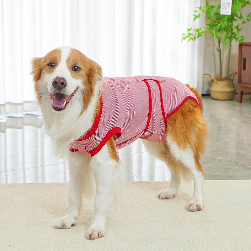 Zhongda pantaloni fiziologici pentru sterilizarea câinilor după operație, consumabile vestimentare, ursuleți de pluș, pisică aurie corgi_voghion.com