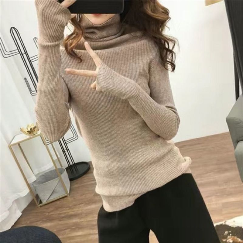 heaps collar Turtleneck Sweaters Autumn Winter Slim Pullover Women Basic Tops Casual Knit Sweater Soft Warm Jumper_voghion.com