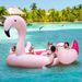 6 People Inflatable Flamingo Floating Island With 6 Cup Holders For Pool And River_voghion.com