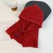 Winter Knitted For Women Korean Style Trendy Brand Multi-color High-end Atmosphere Set Braided Balaclava Hat_voghion.com
