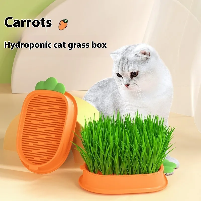 Nouvelle boîte de plantation hydroponique sans sol paresseuse en pot, pot d'herbe à chat, plateau de culture de graines de blé, ensemble de tasses_voghion.com