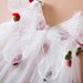 Kids’ Clothing Summer New Girls Dress Three Dimensional Wings Princess Dress Cherry Embroidery Baby Girl Mesh Skirt_voghion.com