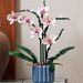 Orchid Phalaenopsis Bouquet Flower Potted Bonsai Ornament Lego Model, Assembled Building Blocks DIY Educational Toys For Children Toy Gift_voghion.com