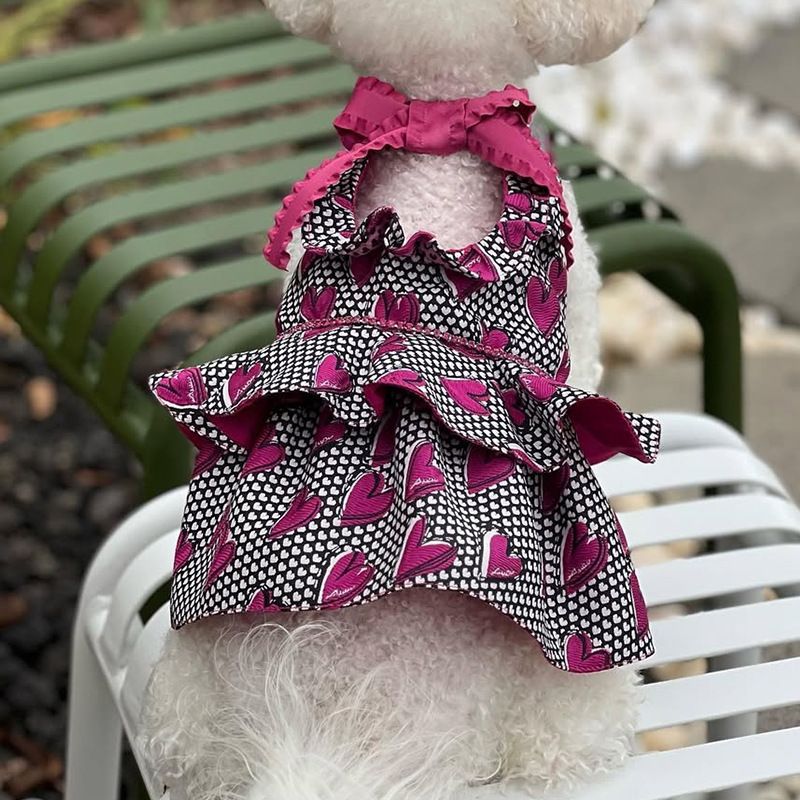 2025 Herfst en Winter Nieuwe Klassieke Liefdesjurk Teddy Bichon Hondenkleding Huisdierbenodigdheden_voghion.com