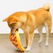 Soft Plush Sound Dog Toy Doughnut Pizza Shape Pet Squeaky Toys For Small Medium Large Dog Puppy Cleaning Teeth Chew Toys_voghion.com