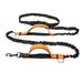 Hands-Free Cat And Outdoor Running Reflective Dual Retractable Pet Dog Leash_voghion.com