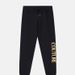 2025 Spring New Trendy Men's And Women's Jogger Sweatpants Casual High-End Large Terry Thin Gold Stamping Print_voghion.com