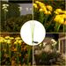 Solar Powered Mushroom Lights Outdoor, Waterproof Garden Decorative LED Landscape Lighting For Patio, Yard, Pathway – 6 Heads_voghion.com