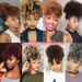 Schwaarz Kuerz Kinky Gekräizt Chignon Mat Pony Syntheteschen Hoer Bun Schnürpferdeschwanz Clip In Afro Puff Hoerstécker Fir Fraen_voghion.com