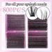 800 - Cluster Single - Cluster Segmented False Eyelash Book Set, European And American Style, Natural Curl, 9 - 16mm, For Eyelash Extension_voghion.com