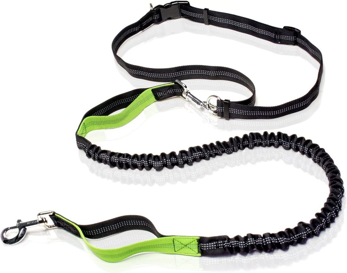 Pet Outdoor Equipment Reflective Night Running Dog Harness Leash For Walking_voghion.com
