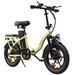 ESKUTE D100 Folding Electric Bike 16Inch With Detachable 36V 13Ah Battery_voghion.com