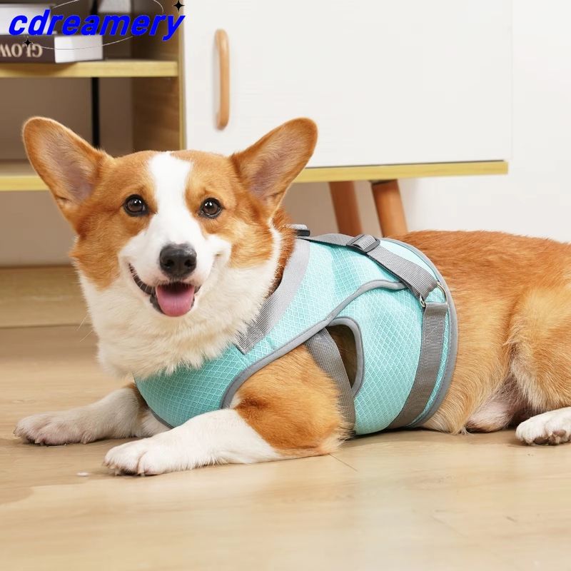 SummerCooling DogVest Breathable Mesh Clothes For Small Large Dogs Outdoor Pet Cool Down Jackets Adjustable Dog Cooler Coat_voghion.com