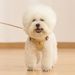 Modna, śliczna kamizelka w stylu małego pluszowego bichona, szelki na klatkę piersiową, smycz dla psa_voghion.com