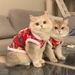 Cat Clothes Winter Big Flower Jacket English Short Silver Gradual Layer Kitten Warm New Year Tang Suit_voghion.com