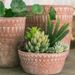 Cemento d'annata Argilla rossa Colore Stile europeo Succulente Po Semplice Classico Poed Piano Fiore Contenitore Giardino_voghion.com