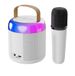Y2 Home K-Song Phone Bluetooth Small Audio Singing Karaoke High Volume Wireless Microphone Speaker_voghion.com