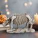 Unique Skull Animal Skeleton Specimen Hippo Ornament Halloween Desktop Decoration_voghion.com