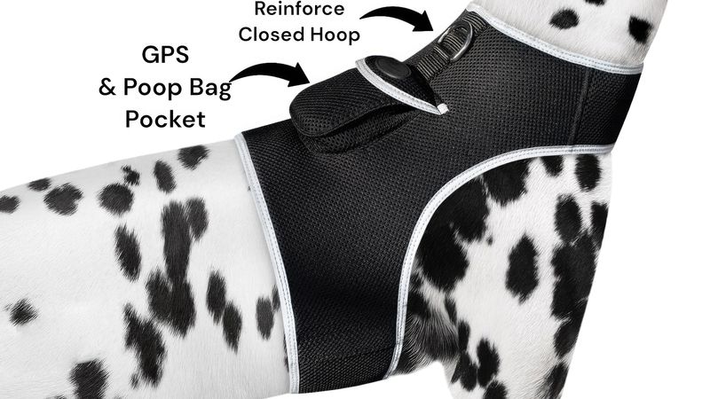 Mini Rechargeable Pet Tracker GPS GSM Realtime Tracking System for Cats & Dogs Size:XS_voghion.com